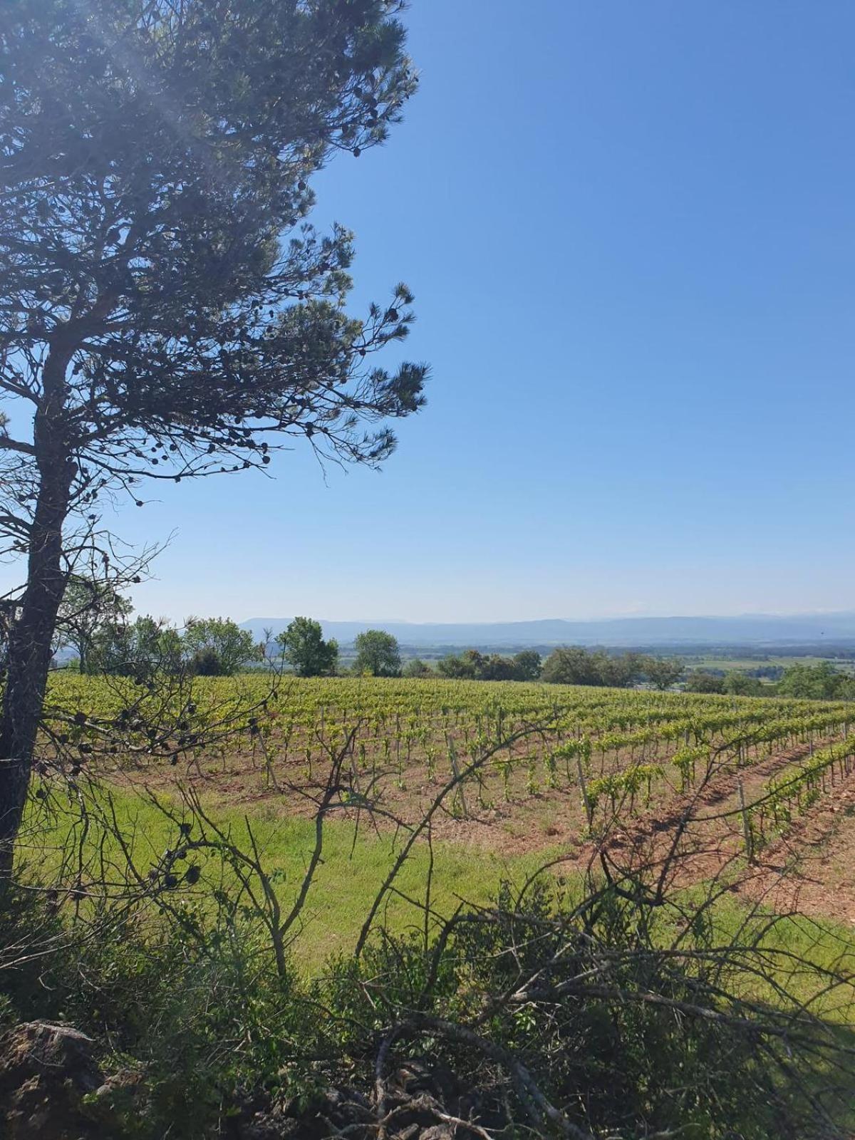 Maison De Charme Caunes-Minervois Экстерьер фото